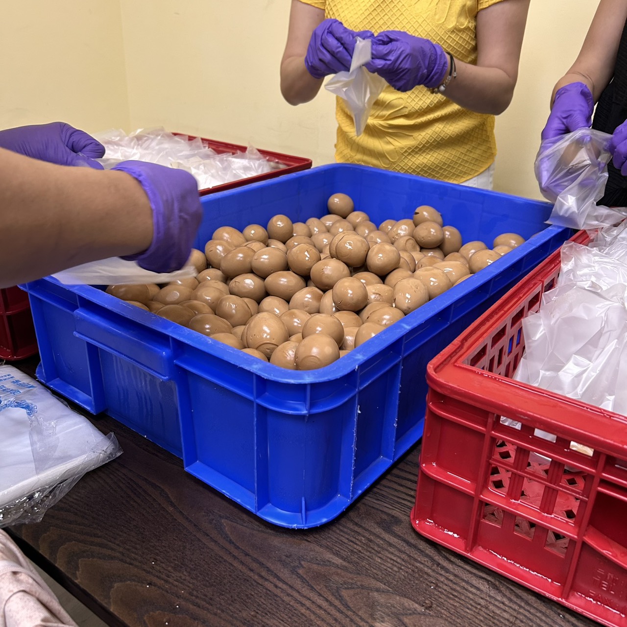 跟隨白沙屯媽祖-114年