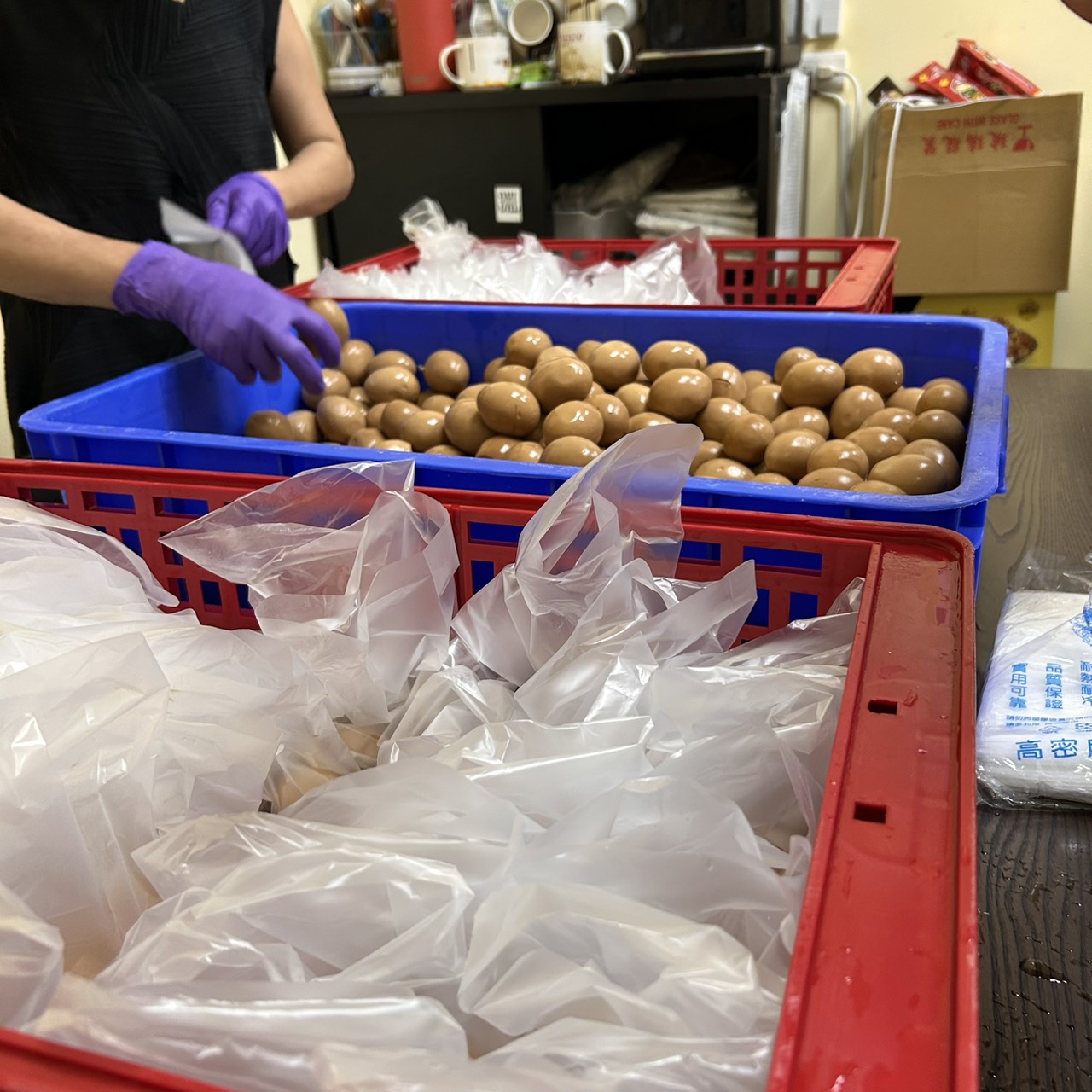 跟隨白沙屯媽祖-114年