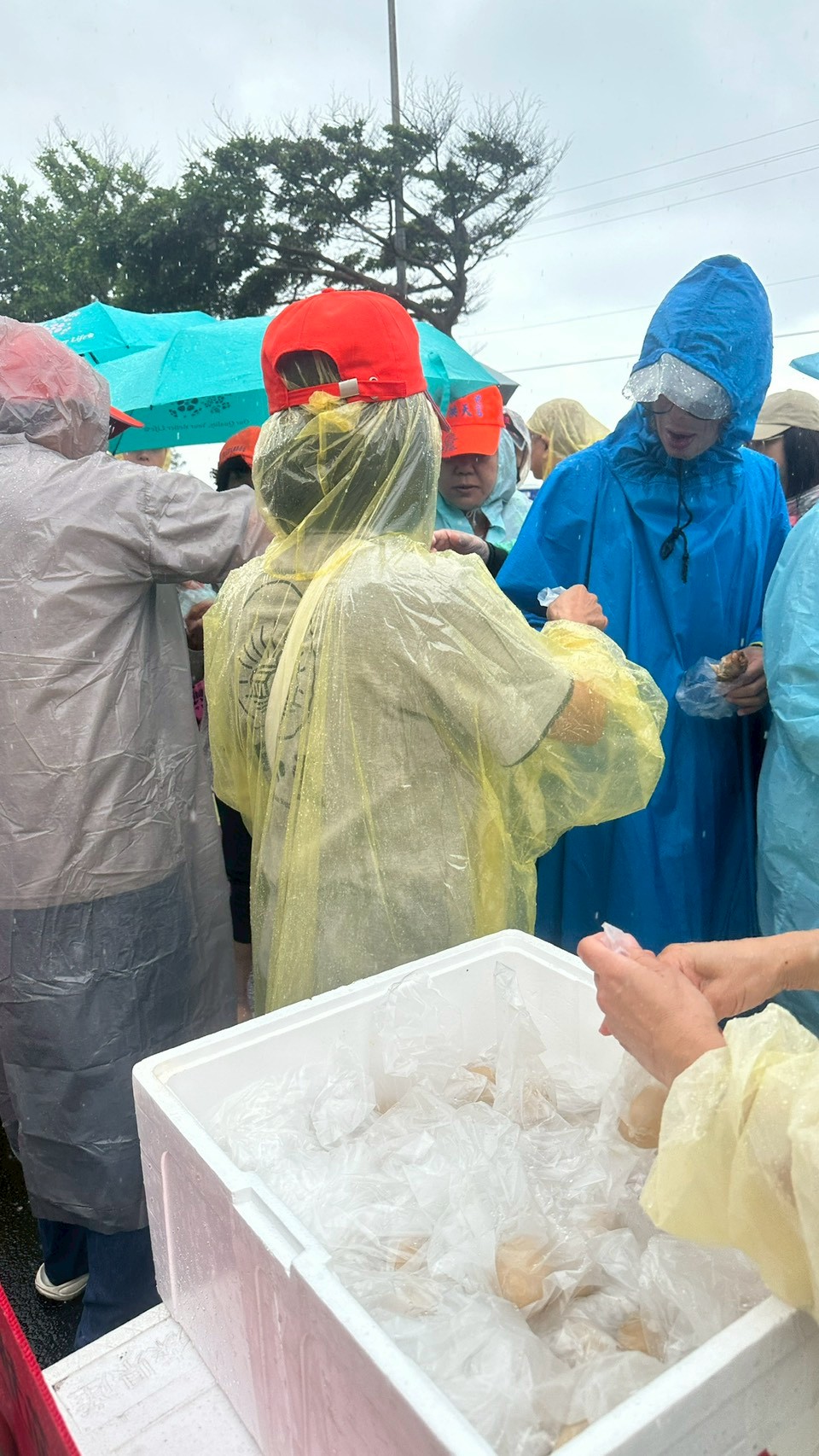 跟隨白沙屯媽祖-114年